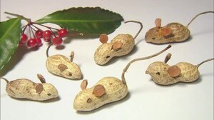 野菜などで十二支を表現 ユーモラスな表情や姿が話題 (島根・松江市)