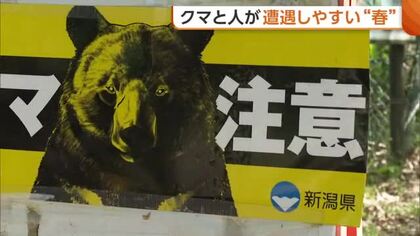 冬眠明け活発に “クマ”と人が遭遇しやすい春「クマも人間も山菜を…」 “音が出る物”携帯や“複数人での活動”重要に