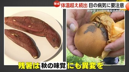 農家が悲鳴…収穫間近の梨に“黒いシミ”　高温障害の「日焼け」廃棄で被害額は約100万円　9月の3連休は「熱帯じょう乱」に要注意