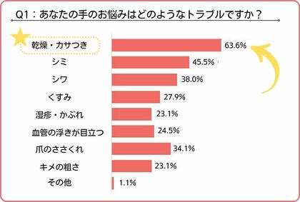 【8月8日は世界猫の日】猫を飼っている方の手のお悩み第2位は「シミ」、第1位は「乾燥・カサつき」。その理由は…?