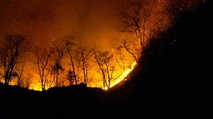 群馬県が自衛隊に災害派遣要請…妙義山で山林火災　少なくとも8ヘクタール以上焼け延焼中　9日朝消火活動再開へ