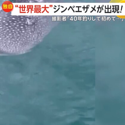 【独自】振り向けば“世界最大の魚”ジンベエザメが…！「40年釣りをしていて初めて」船に接近…釣りエサ狙いか　宮崎・都農町