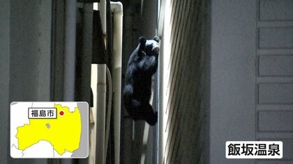 「人かと思ったら」クマが温泉街の建物から建物へ…冬眠前にエサ求めて各地に出没　専門家「大凶作で木の実が不足」