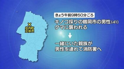 キノコ採りの男性（41）が山の中でクマに襲われる…顔面にけがで病院に運ばれる　山形・庄内町