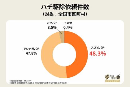 【独自調査】特定外来生物のツマアカスズメバチの駆除状況は？実際に見かけた場合の対処法も紹介