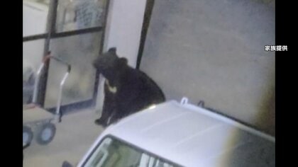 クマ出没相次ぐ　岩手では1週間で50件　寝ていて「気づいたら顔の横に」　夏恒例のホタル鑑賞や山形の市民登山など中止