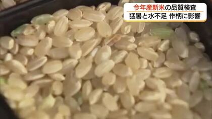 高温障害で白く…未熟粒も　島根県産の新米に猛暑の試練　一等米比率は2割にとどまり品質懸念