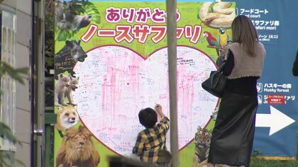 【山積みの問題】違法建築のノースサファリサッポロ 20年の歴史に幕―トラなど“特定動物”の受け入れ先確保は難航 従業員の雇用も課題に＜北海道＞