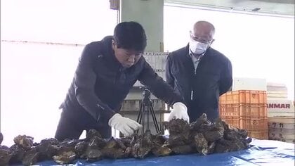 岡山の主要産地でも９割程度死ぬ…瀬戸内海の養殖カキ大量死　伊原木知事が現場を視察【岡山】