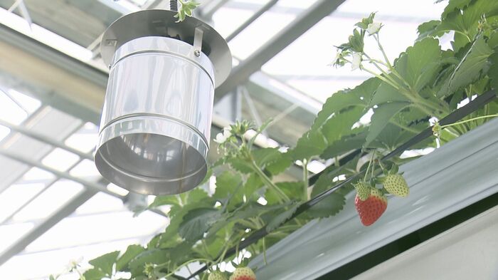 最新鋭のスマート農業