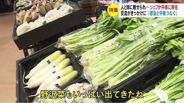 道の駅中条