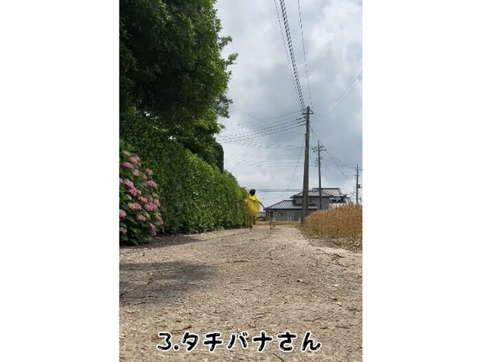 どんどん小さくなるタチバナさんとコロちゃん(提供:タチバナさんの毎日ルーティン)