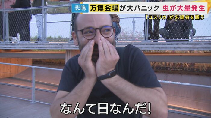 来場者