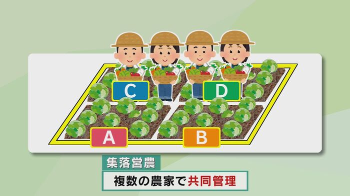 集落営農法人 アグリストあじむMIRAI