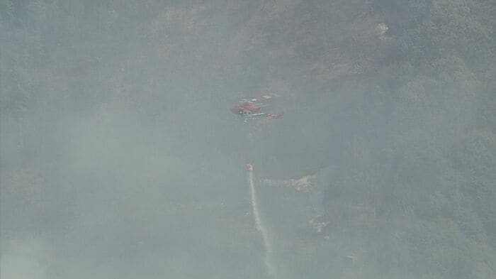 NST新潟総合テレビ