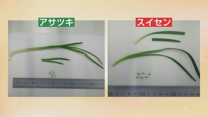 画像提供 富山県