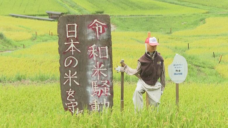 「令和の米騒動　日本の米を守る」の『かかし』も…長野県飯田市の「よこね田んぼ」で「かかしコンテスト」世相を反映した9体が登場｜FNNプライムオンライン