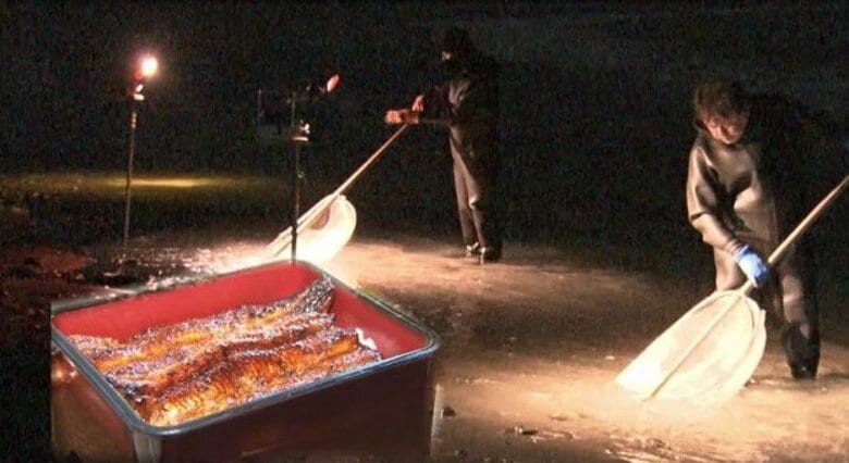 &quot;白いダイヤ”シラスウナギの密漁・密売を許すな！新たなルールの導入で日本の食文化は守れるか【静岡発】｜FNNプライムオンライン