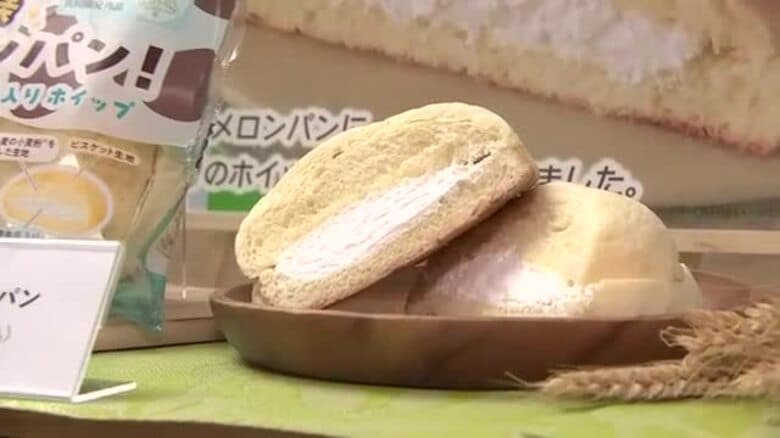 岩手県産食材使ったメロンパンを共同開発　盛岡農業と大手コンビニチェーン　東北6県で販売｜FNNプライムオンライン