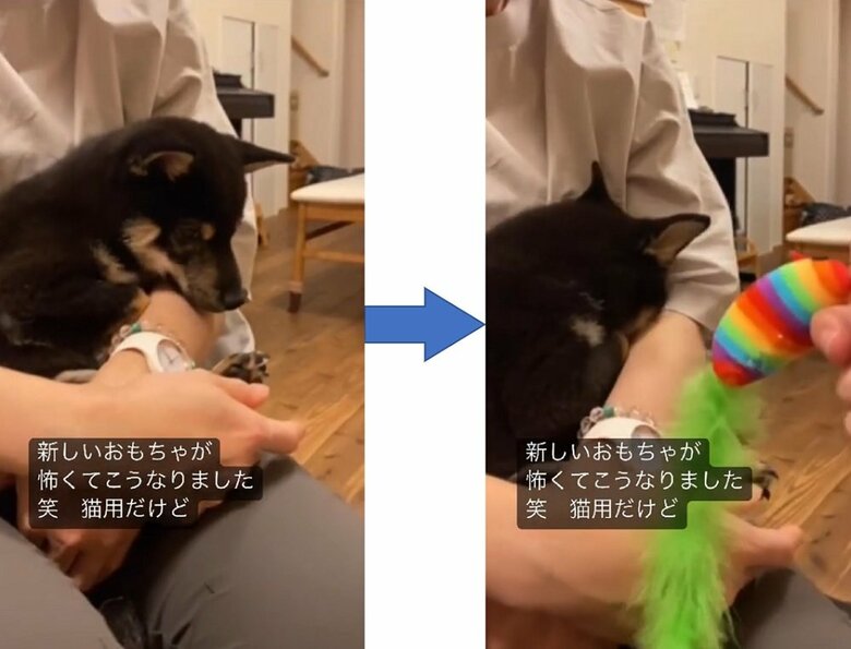 興味はあるけど…やっぱり怖い！