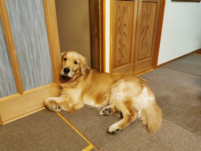 提供：ふぉるてさん