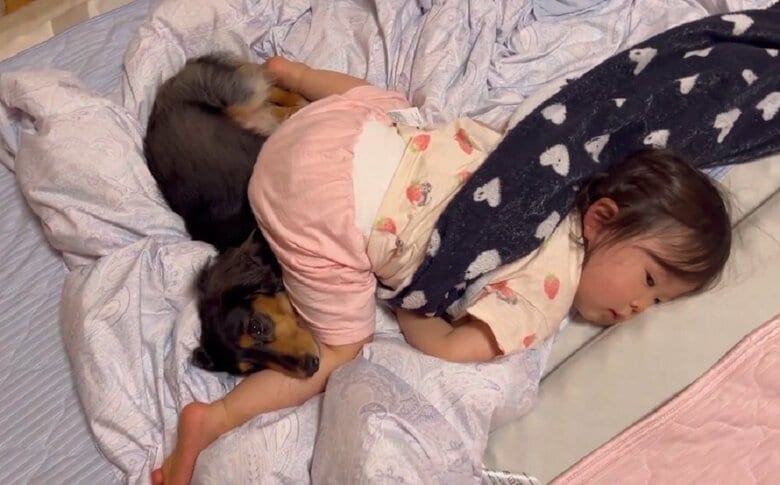 娘さんのお尻にぴったり