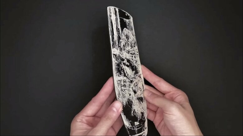 横から見ると平たく切り絵だとよくわかる