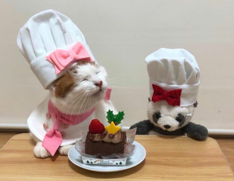 ケーキなんて作れないけど格好だけは一人前なパティシエ