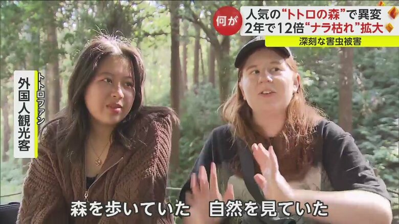 訪れていた外国人は