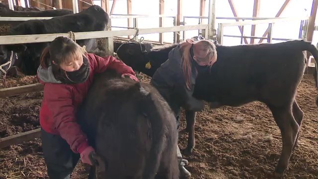 牛屋の従業員9人のうち6人が20代