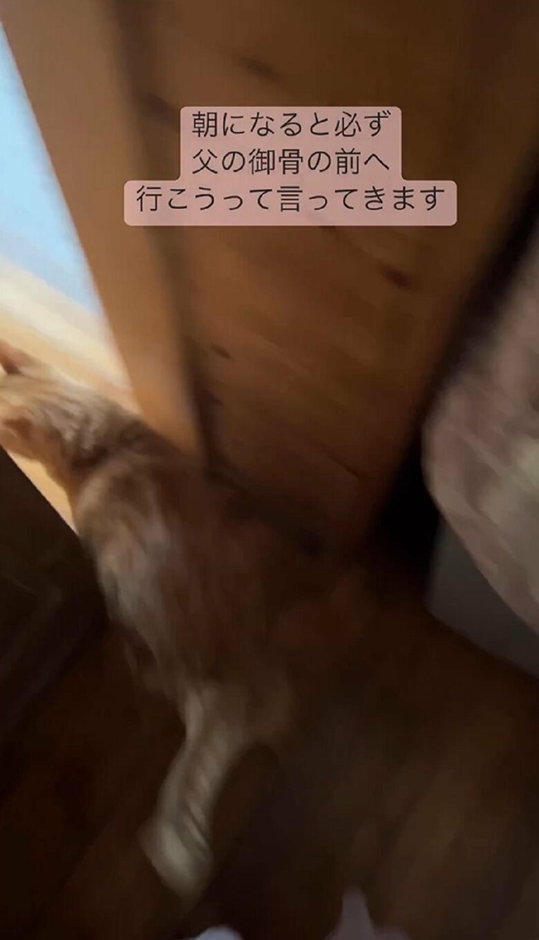 扉を開けるとスルリと通り抜け