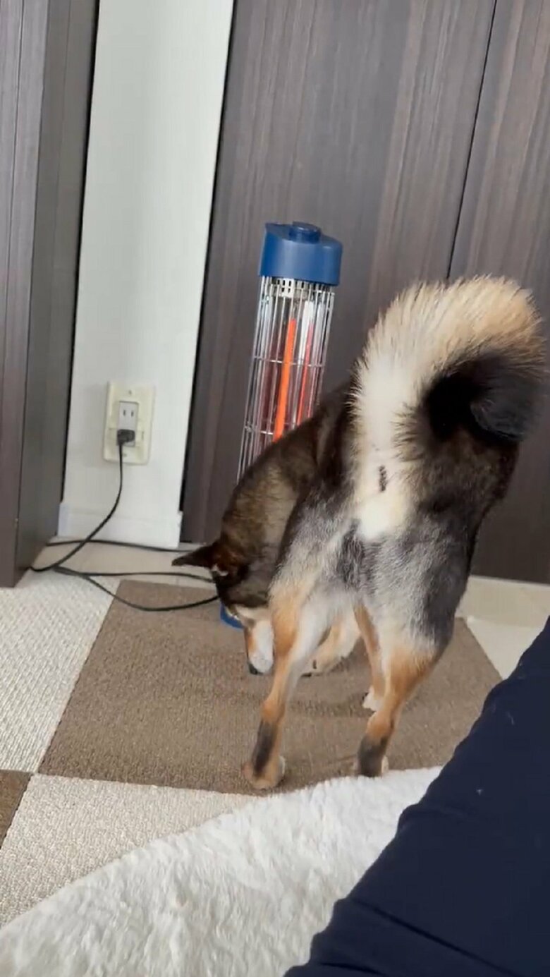 空いたスぐるりとぐるりと