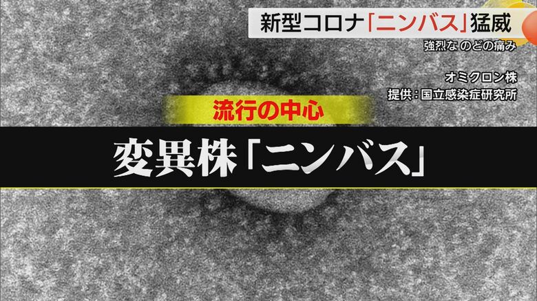 オミクロン株の変異株「ニンバス」