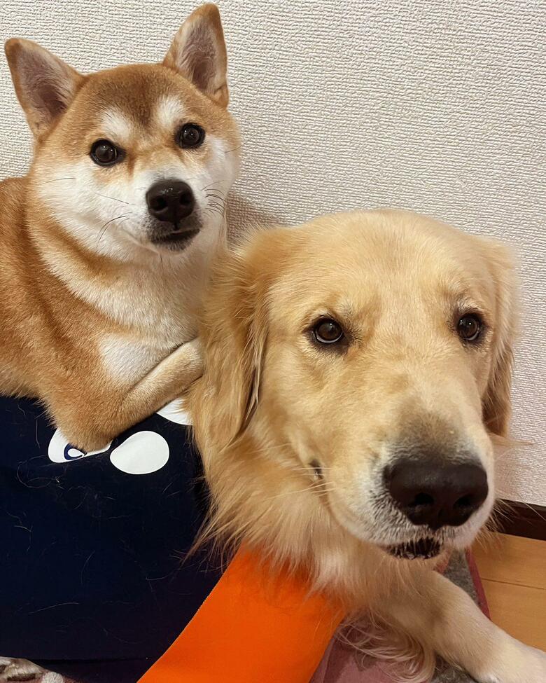 提供：ムックパパさん