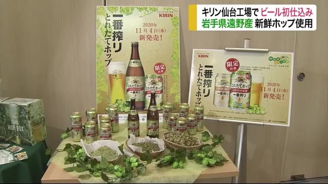 キリン仙台工場でビール初仕込み 岩手県遠野産の新鮮ホップ〈仙台〉