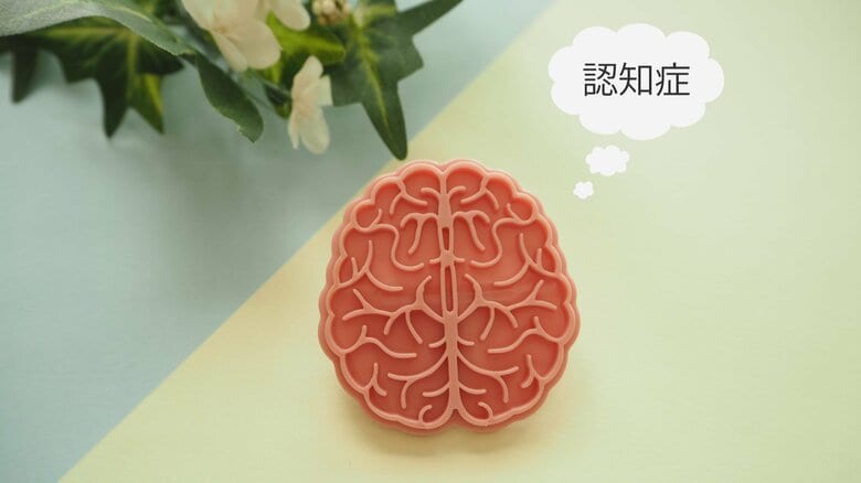 脳の血管の丈夫さや血流の良さが大事（画像：イメージ）