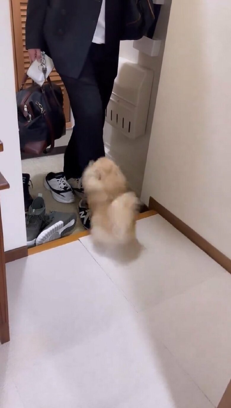 足にしがみついたりも…