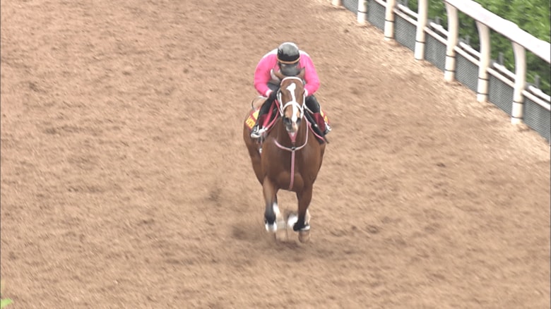 調教中のレシステンシア