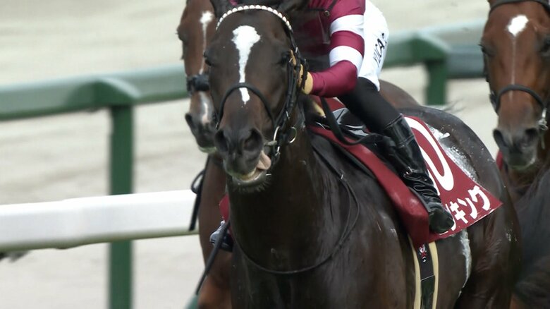 神戸新聞杯を制したエリキング