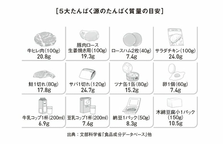5大たんぱく源のたんぱく質量の目安（『疲労回復の習慣』から抜粋）