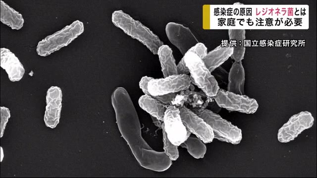温泉旅館でレジオネラ菌に感染し男性死亡 レジオネラ菌とは? 家庭でも注意必要<岩手・西和賀町>