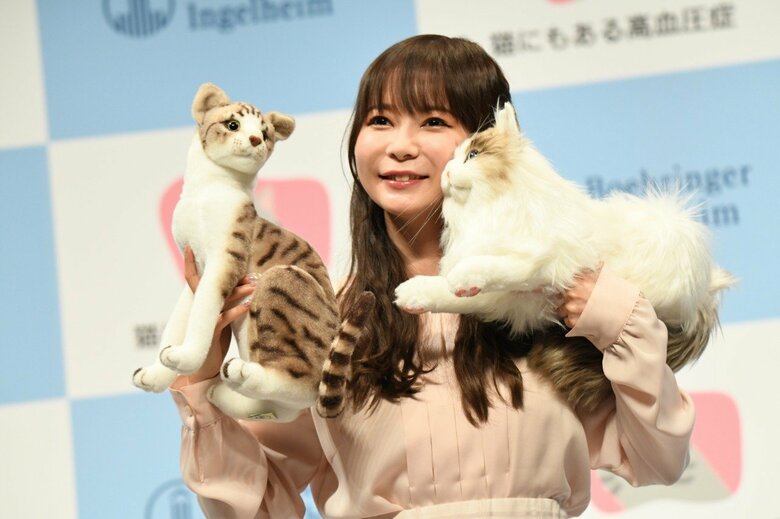 主催者名：ベーリンガーインゲルハイムアニマルヘルスジャパン　イベント名：5月17日は『高血圧の日』、猫にも高血圧症がある！