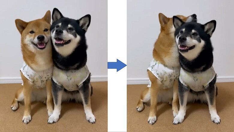 何にでもあご乗せできる