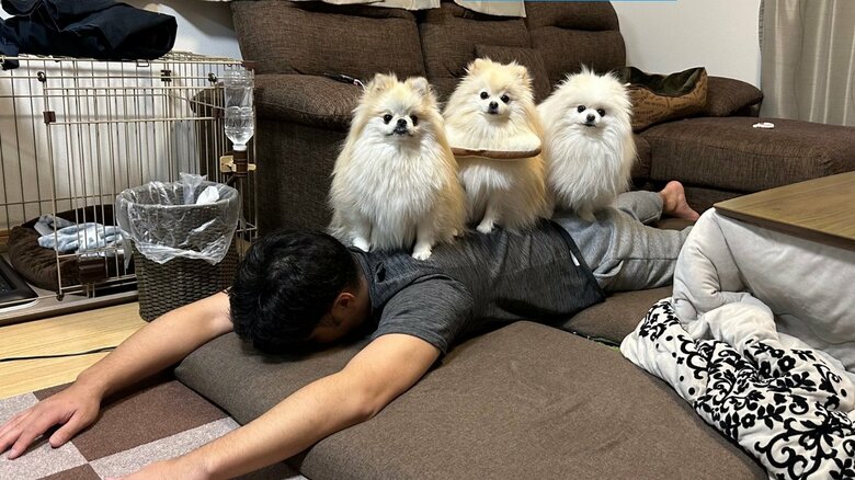 こちらは2023年1月の様子。やっぱりパパの背中に大集合