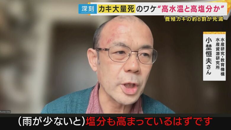 水産研究・教育機構 水産資源研究所 小埜恒夫さん