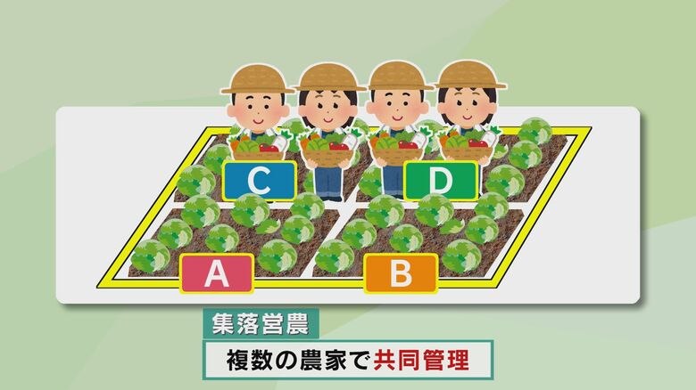 集落営農法人　アグリストあじむMIRAI