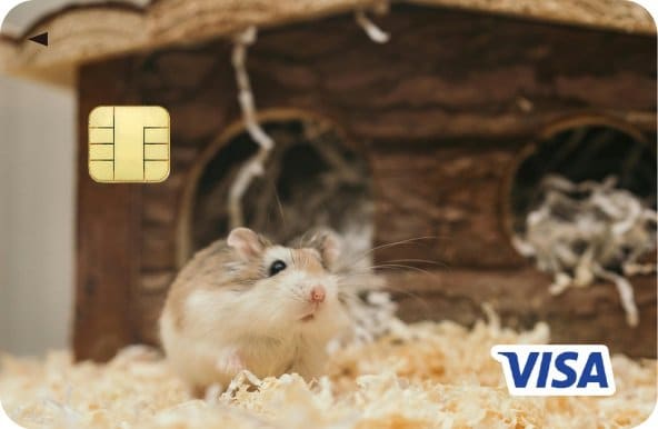 提供：株式会社エポスカード