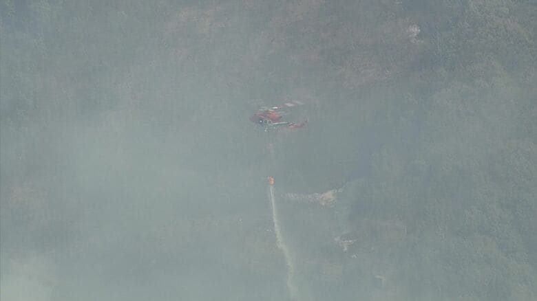 NST新潟総合テレビ