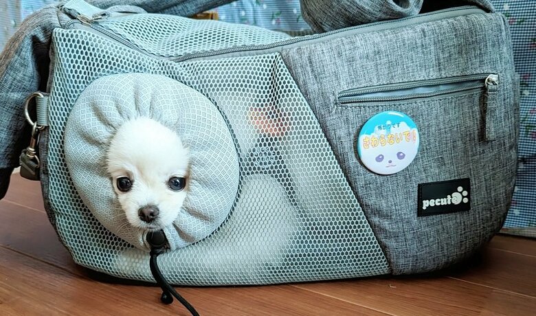 すっぽり