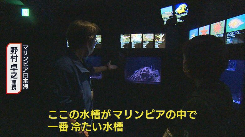 マリンピア日本海（新潟市中央区）